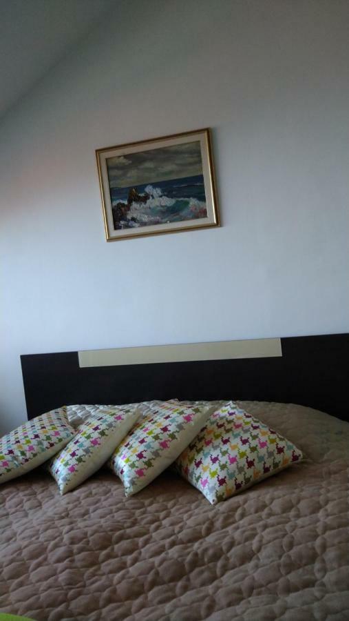Green Studio Chamkoriya Borovets Dış mekan fotoğraf